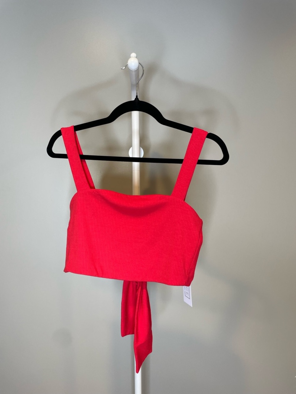 NWOT
Sage Red Ribbed Crop Top with Tie Back